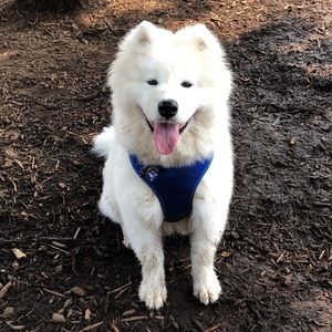 Meet your Posher, Tara